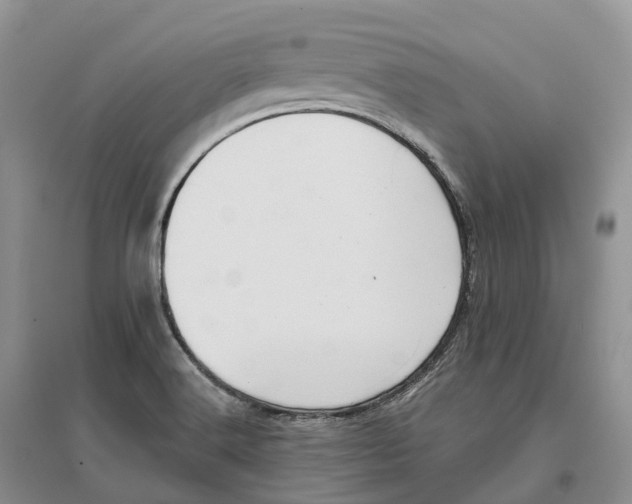 X0000096721516200802261641