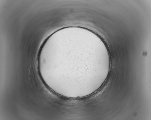 X0000096721517200802261641