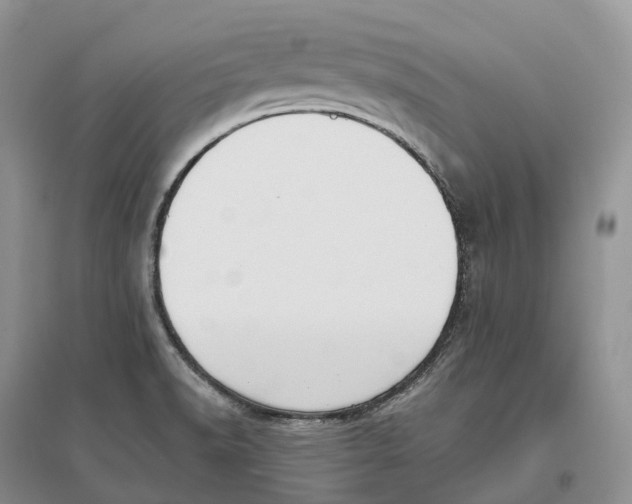 X0000096721518200802261641