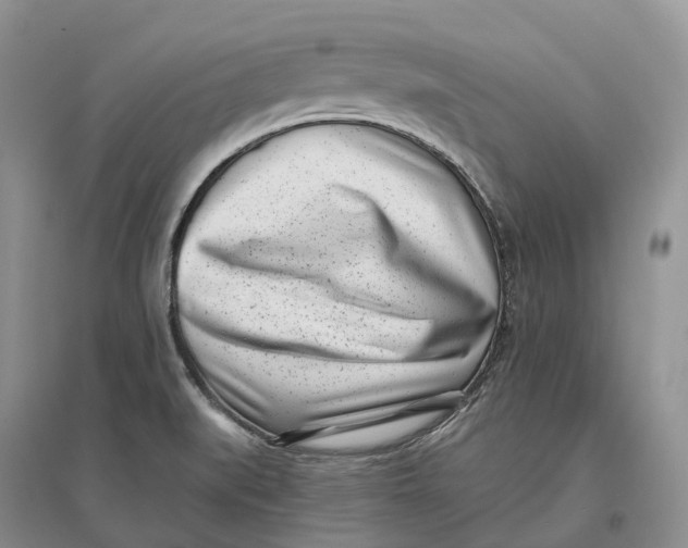 X0000096721519200802261641