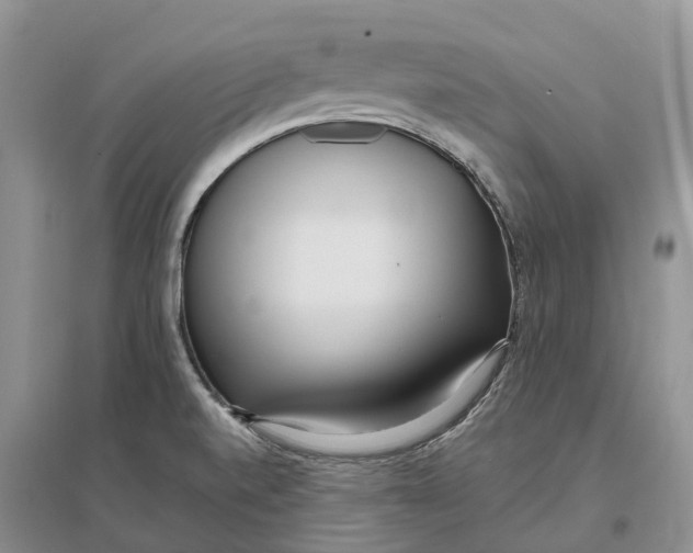 X0000096721520200802261641