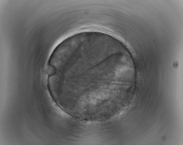 X0000096721522200802261641