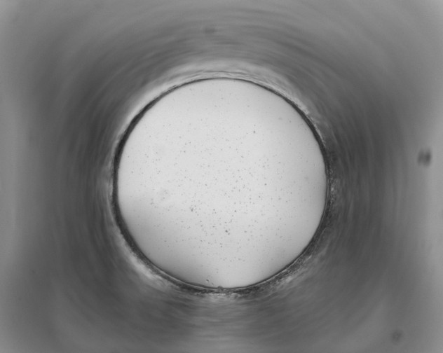 X0000096721523200802261641