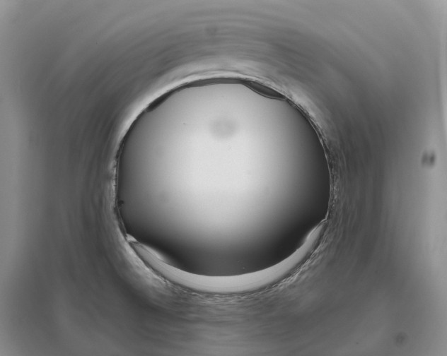 X0000096721524200802261641