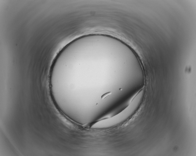 X0000096721525200802261641