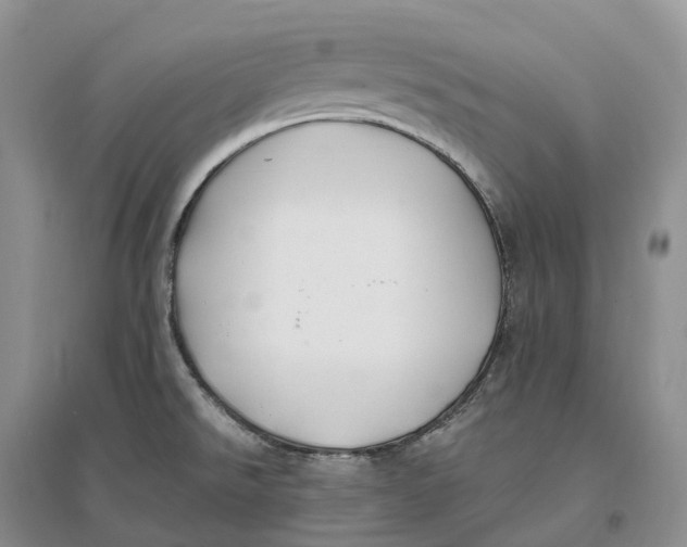 X0000096721526200802261641