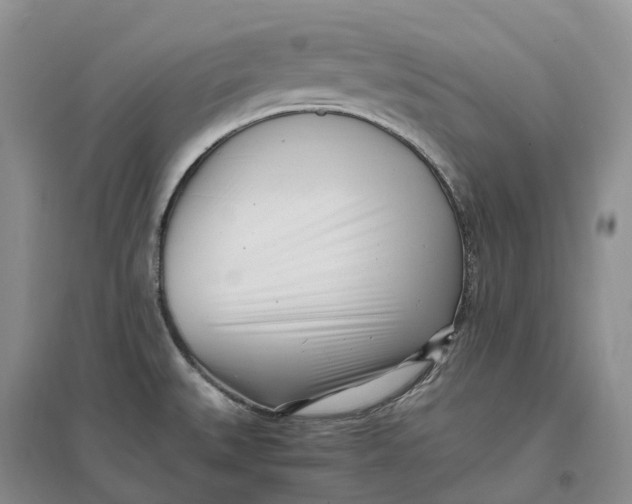 X0000096721527200802261641