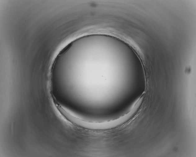 X0000096721528200802261641