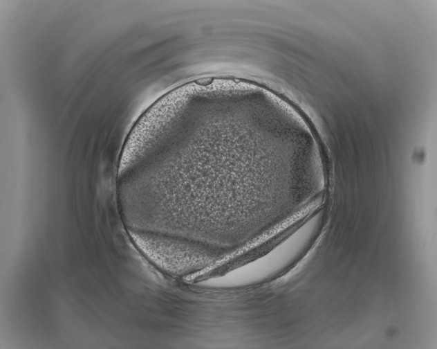 X0000096721529200802261641