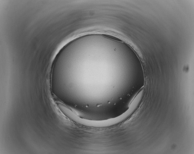 X0000096721530200802261641