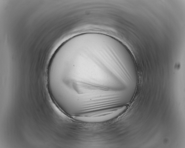 X0000096721531200802261641