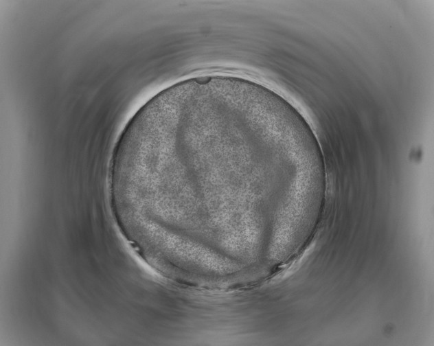 X0000096721533200802261641