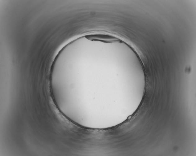 X0000096721534200802261641