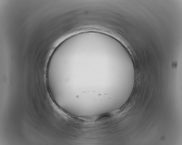 X0000096721535200802261641