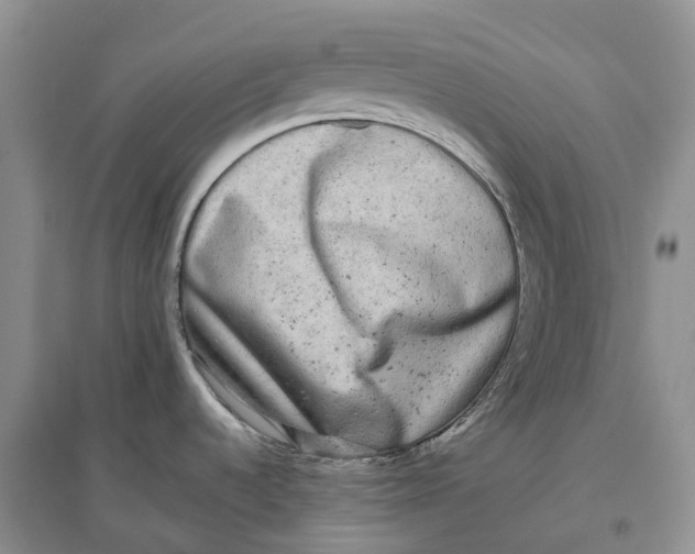 X0000096721536200802261641