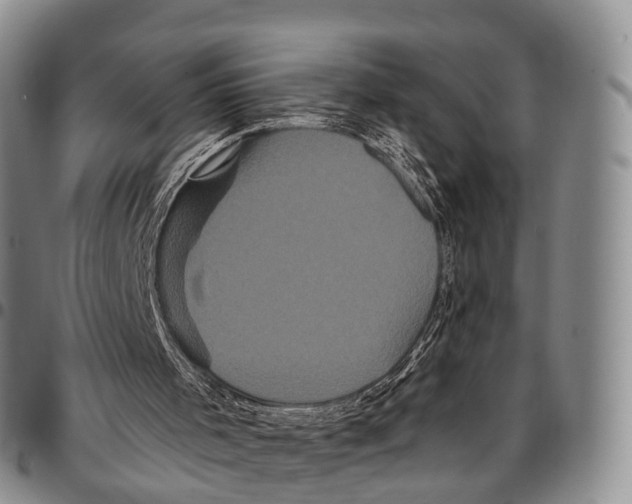 X0000096720001200803041411