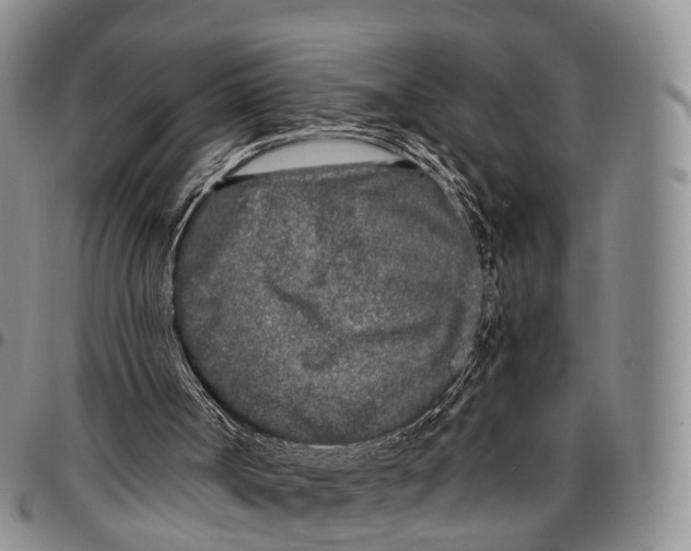 X0000096720002200803041411