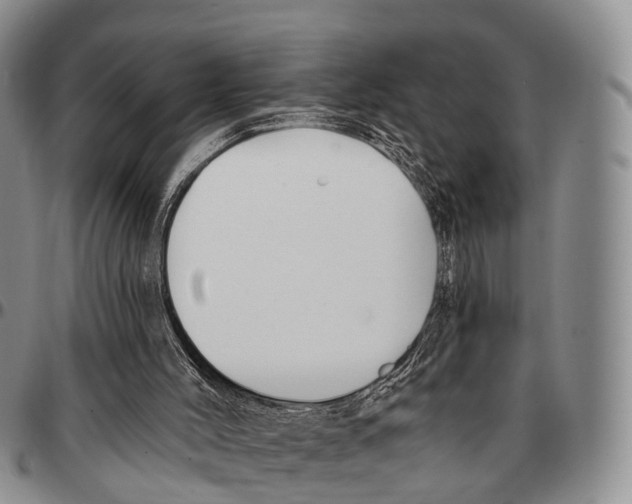 X0000096720004200803041411