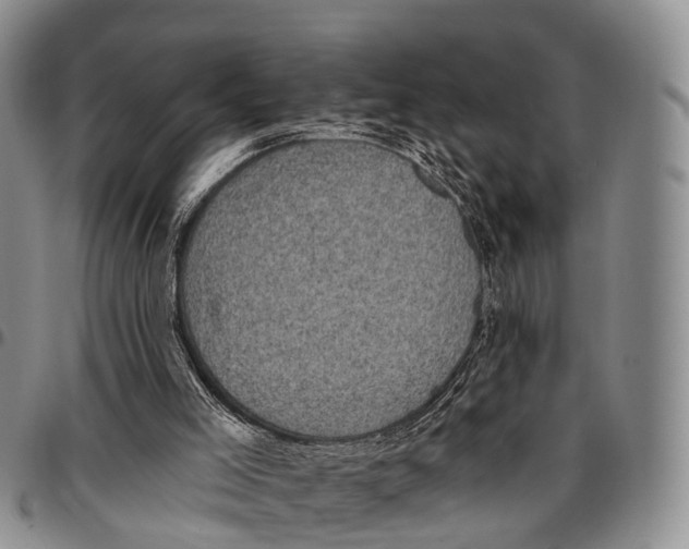 X0000096720005200803041411