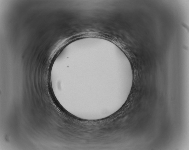 X0000096720007200803041411