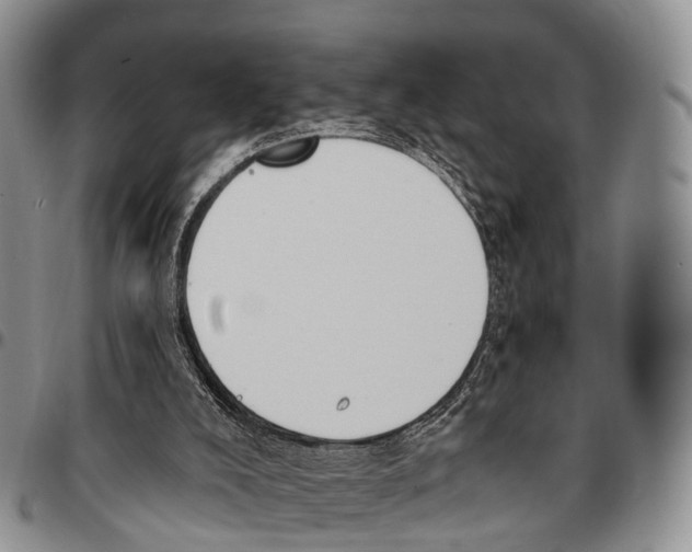 X0000096720008200803041411