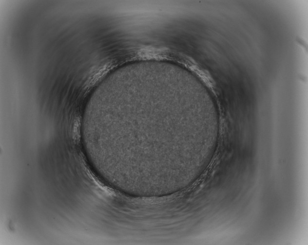 X0000096720009200803041411