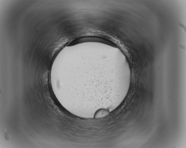 X0000096720010200803041411