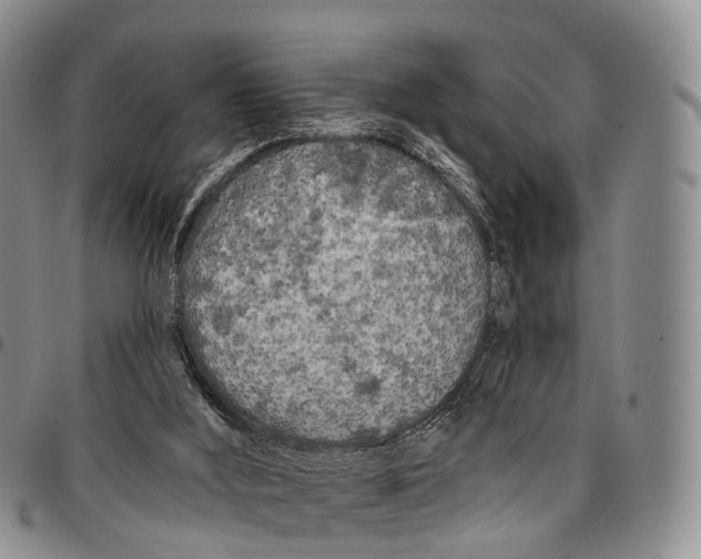 X0000096720012200803041411