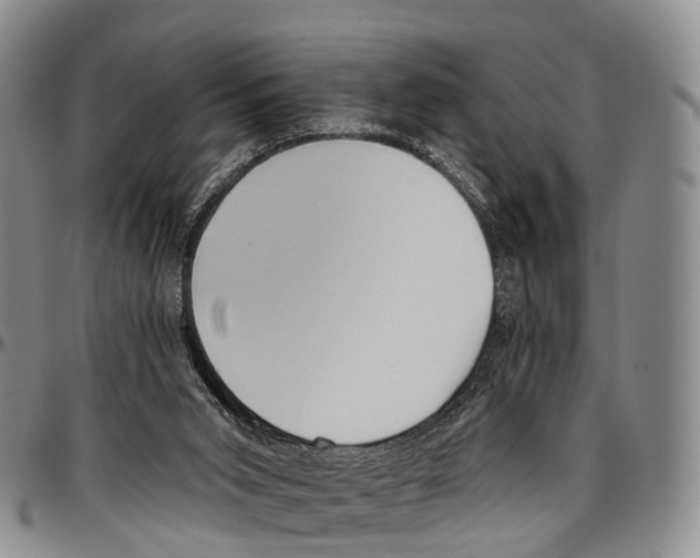 X0000096720015200803041411