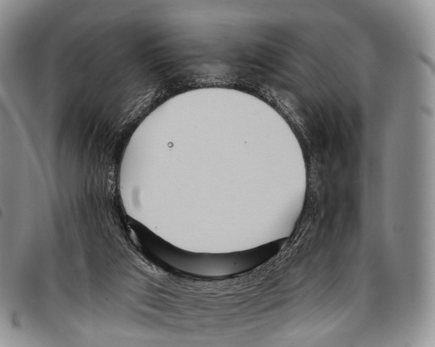 X0000096720017200803041411