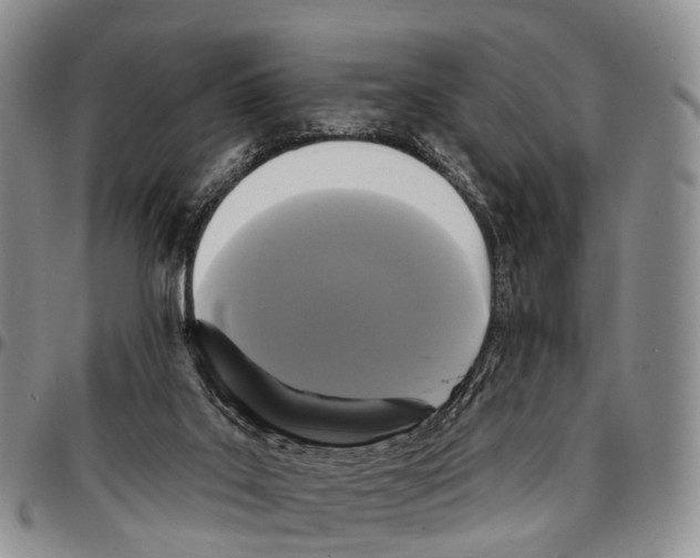 X0000096720019200803041411