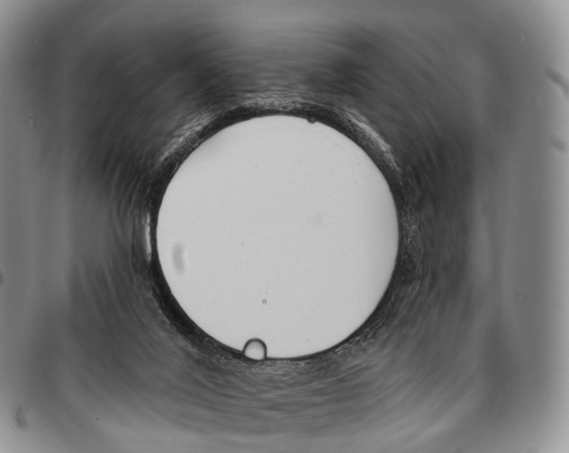 X0000096720020200803041411