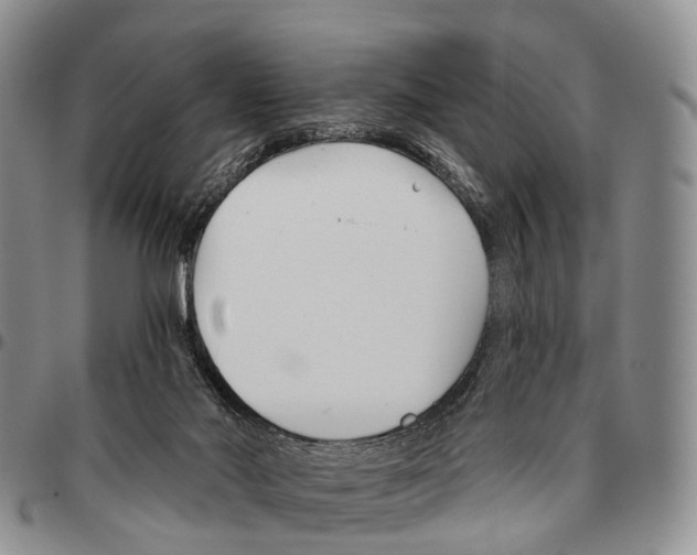 X0000096720022200803041411