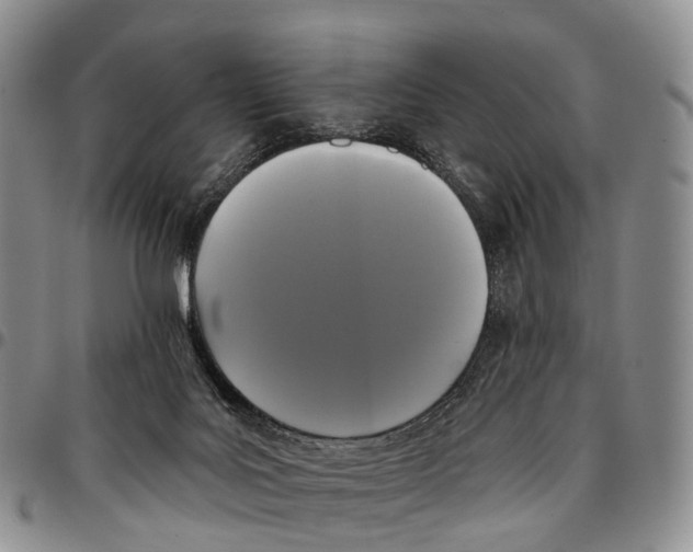 X0000096720027200803041411