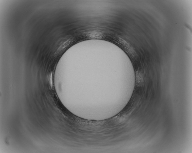 X0000096720028200803041411