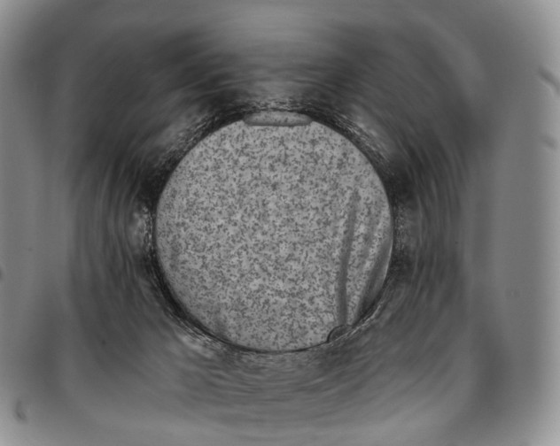 X0000096720029200803041411