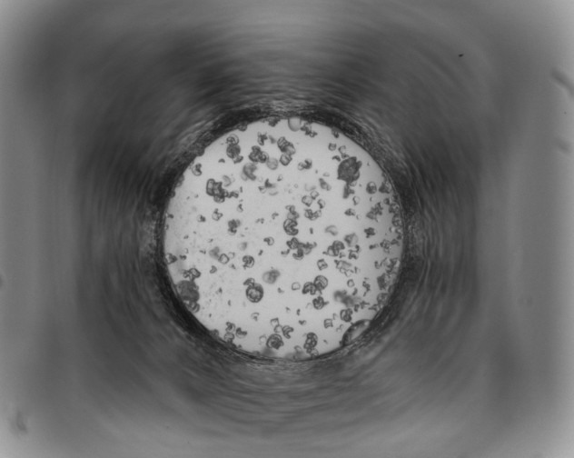 X0000096720032200803041411