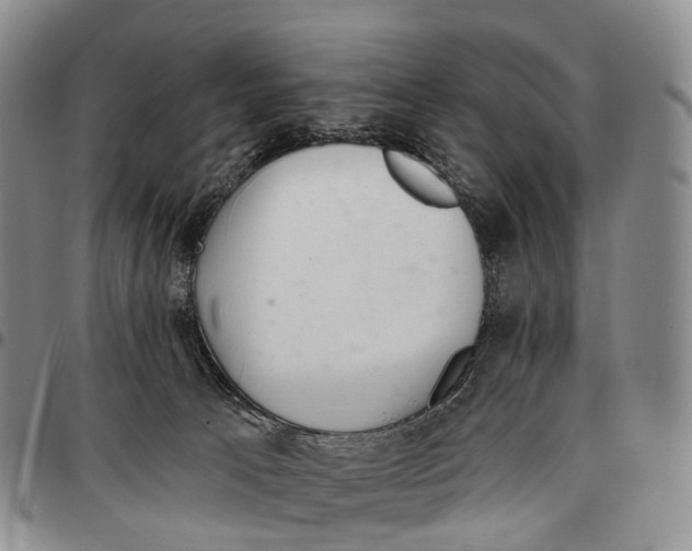 X0000096720033200803041411