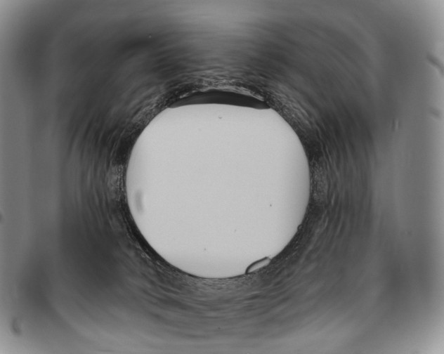 X0000096720034200803041411