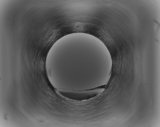 X0000096720035200803041411