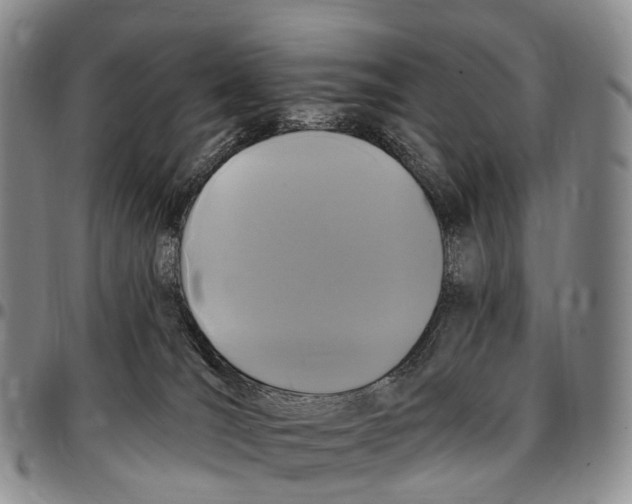 X0000096720036200803041411