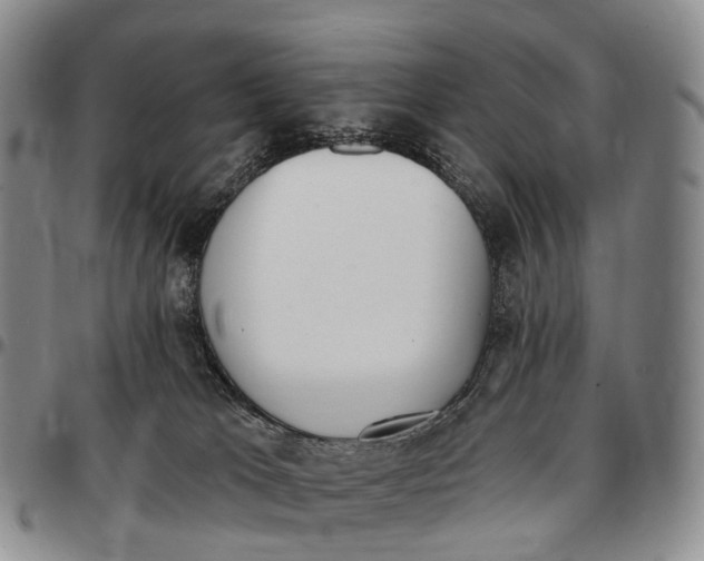 X0000096720037200803041411