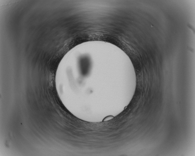 X0000096720038200803041411