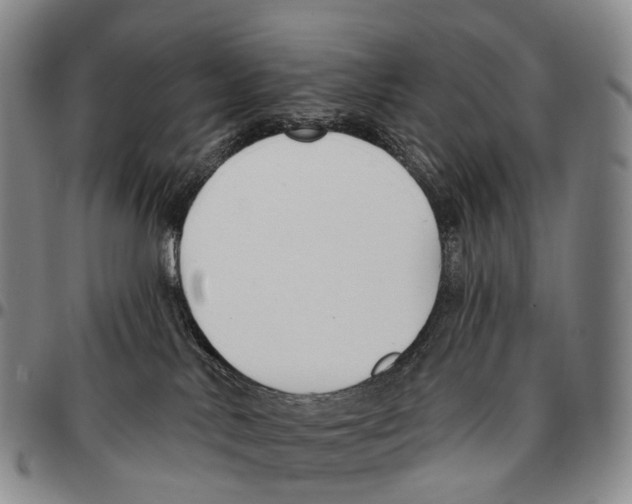 X0000096720042200803041410