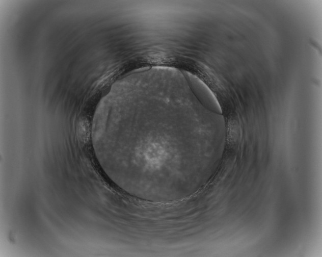 X0000096720043200803041410