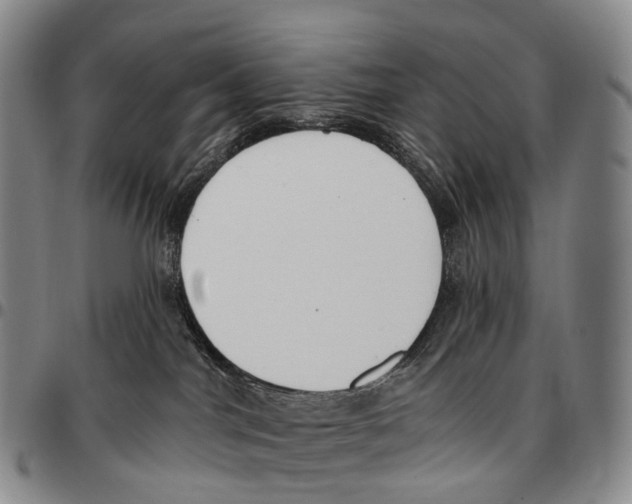 X0000096720044200803041410