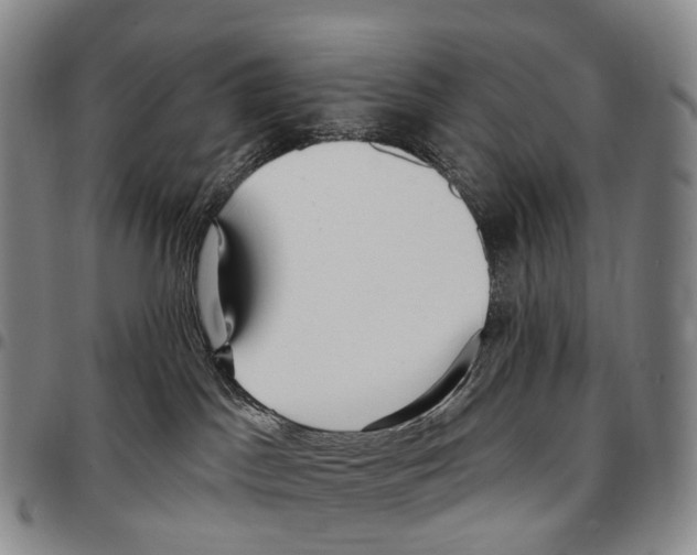 X0000096720045200803041410