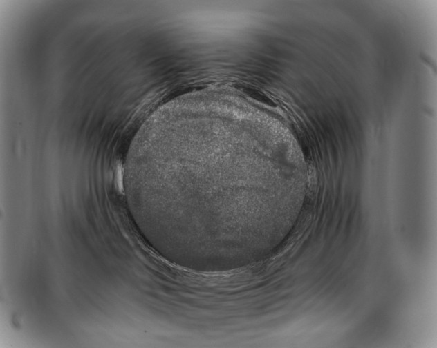 X0000096720046200803041410