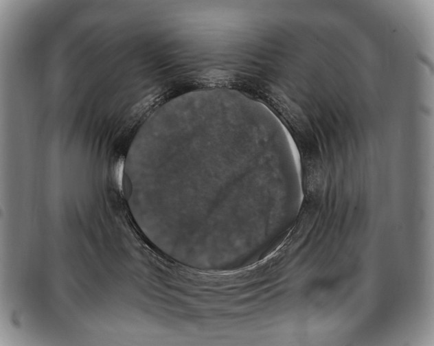 X0000096720047200803041410