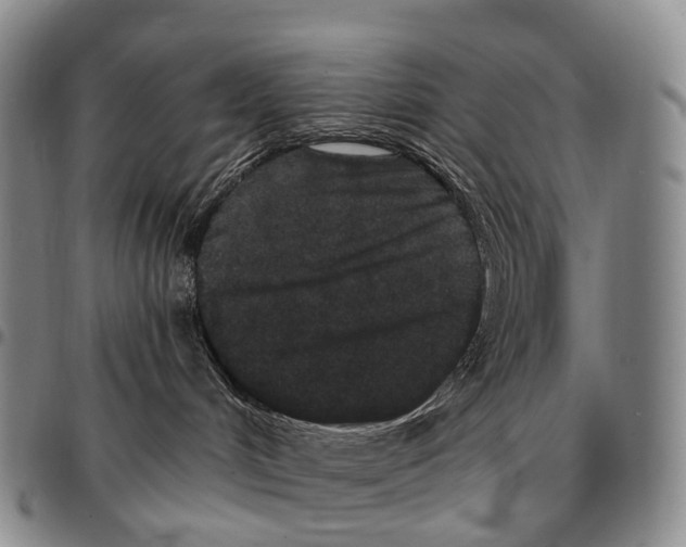 X0000096720048200803041410